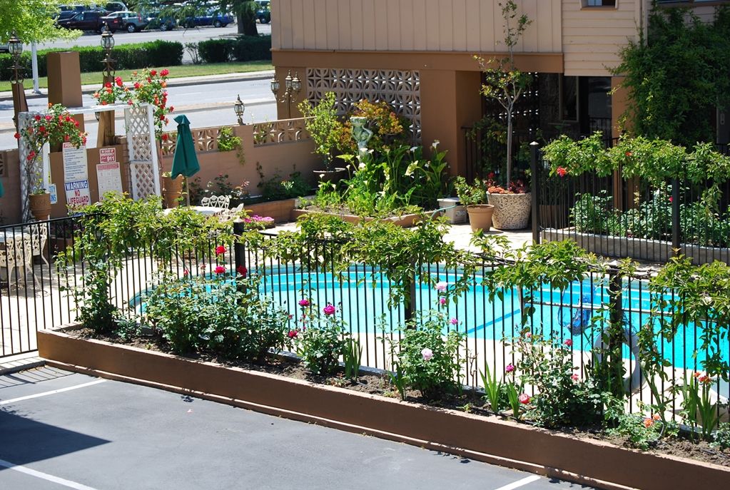 Stanford Motor Inn Palo Alto Udogodnienia zdjęcie